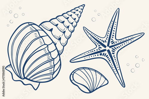 Handdrawn Blue Seashells and Starfish Illustration.