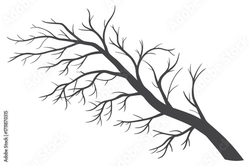 Silhouette of a bare tree branch against white.