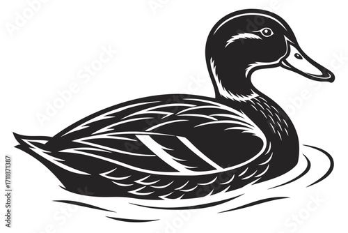 Stylized Black and White Duck Floating on Water.