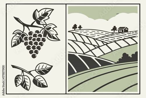 Stylized Grapes and Vineyard Landscape Illustration.