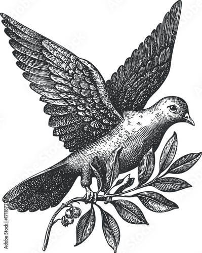 A beautifully detailed illustration of a flying dove with an elegant branch and leaves.
