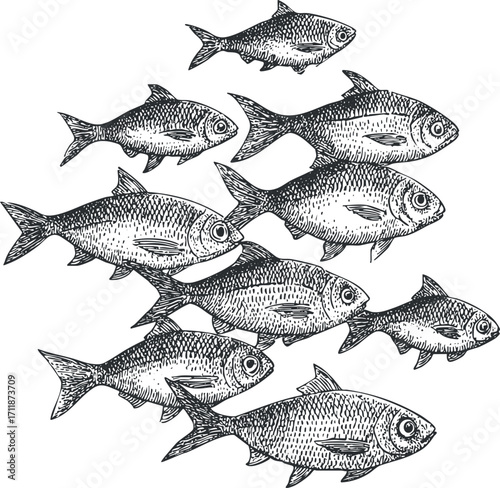 A detailed illustration of various fish swimming in a school in the ocean.