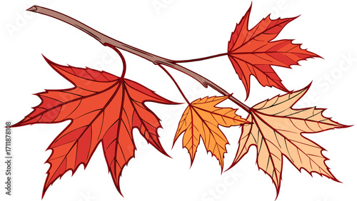 Autumn leaves branch red and orange foliage fall season design element nature illustration botanical artwork vector graphic thanksgiving decoration.