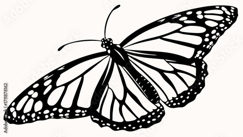 Black and white illustration of a butterfly with detailed wings perfect for nature and insect themed designs.