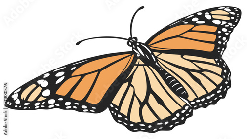 Orange and Black Butterfly Illustration Insect Clipart Nature Graphic Winged Creature Design Entomology Art Wildlife Image Butterfly Wings Detail Insects of the World High-Resolution Vect.