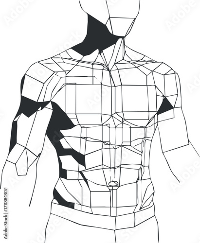 Stylized illustration of a human torso showcasing anatomical structure and muscle design.