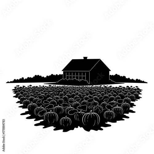 Pumpkin patch field with house in silhouette style for Thanksgiving Day  