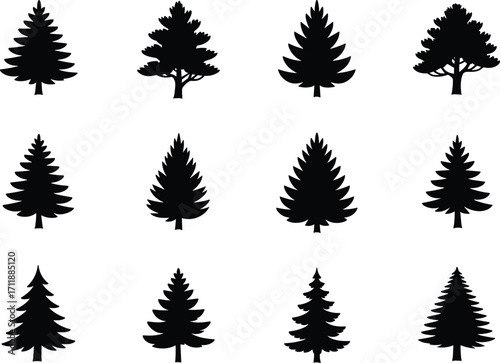 Black silhouette tree illustrations, coniferous and deciduous species, various shapes, botanical vector set for forest, park, garden, landscaping, and nature design projects