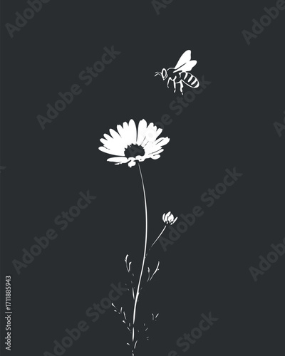 A minimalist illustration of a daisy flower and a bee on a black background.