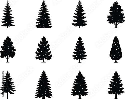 Black silhouette tree illustrations, various species and shapes, botanical vector set for forest, park, garden, landscaping, and nature design projects