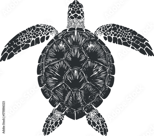 Illustration of a sea turtle in black and white showcasing its unique shell and flippers