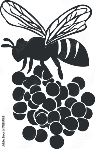 A stylized black and white illustration of a bee hovering over a cluster of grapes.