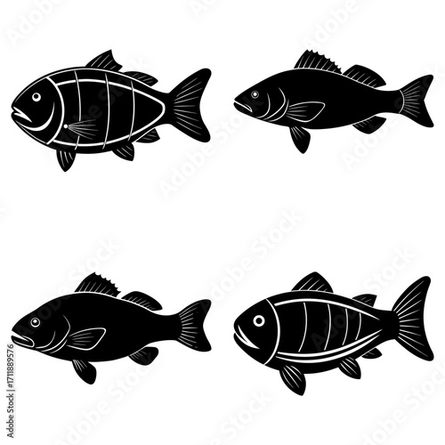 Four stylized fish illustrations in black and white featuring different species and design patterns