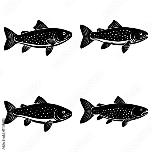 Illustration of four black and white trout fish swimming in different directions on a white background