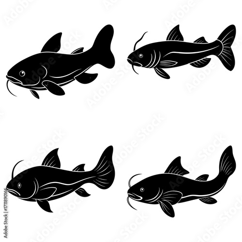 Four black catfish illustrations in varying positions against a white background showing fins and whiskers