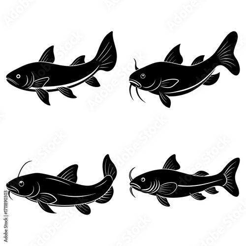 Four black catfish illustrations with detailed fins and barbels on a white background display a vector art style