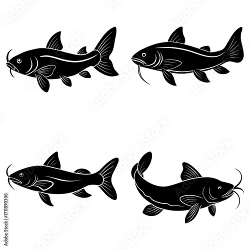 Silhouette illustration of four catfish swimming in different directions on a white background design art
