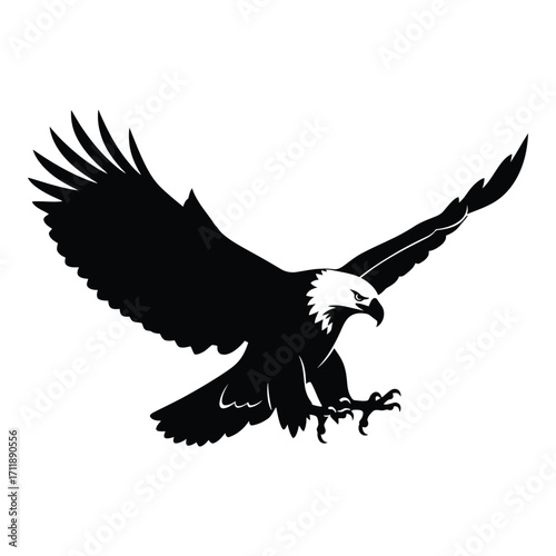 Majestic bald eagle soaring wings spread hunting fierce predator animal silhouette