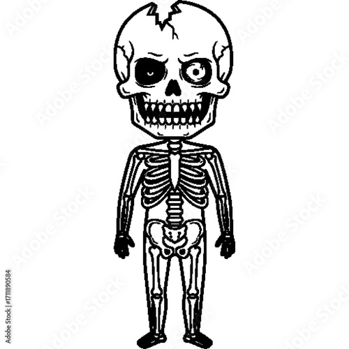 Full body cartoon skeleton illustration, which can be used as educational graphics related to anatomy for costumes, prints, or Halloween festivities.