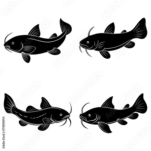 Illustration of four black silhouette catfish swimming in different directions on a white background
