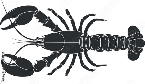 Illustration of a black lobster representing seafood and marine life in culinary contexts.