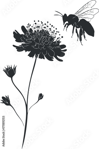 A detailed illustration of a flower and a bee, representing nature and pollination.