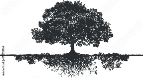 A striking silhouette of a tree with detailed roots reflecting its growth and connection to nature.