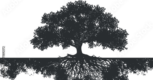 A striking silhouette of a tree with intricate roots reflecting below, symbolizing growth and nature.