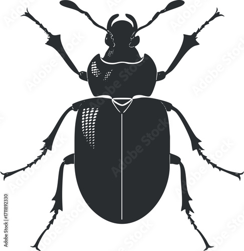 Black silhouette illustration of a beetle showcasing its detailed structure and symmetry.