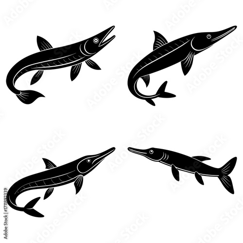 Illustration of four black needlefish swimming in different directions on a white background, sharp snout