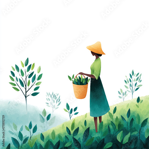 Woman Harvesting Plants on a Green Hillside.