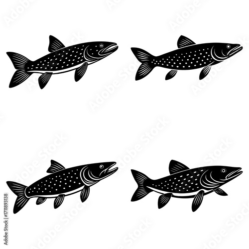Four stylized black and white northern pike fish swimming in different directions on a white background