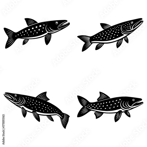 Four monochrome illustrations of northern pike fish swimming in different directions on a white background