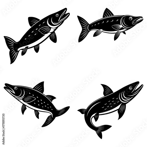 Illustration of four black anglerfish with bioluminescent lures in a square arrangement on a white background