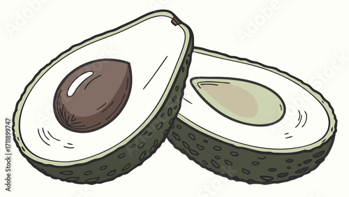 Halved Avocado Illustration Hand Drawn Fruit Healthy Food Graphic Vegan Diet Design.