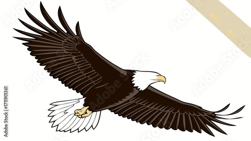 Majestic Eagle in Flight Wings Spread Wide Powerful Bird Illustration.