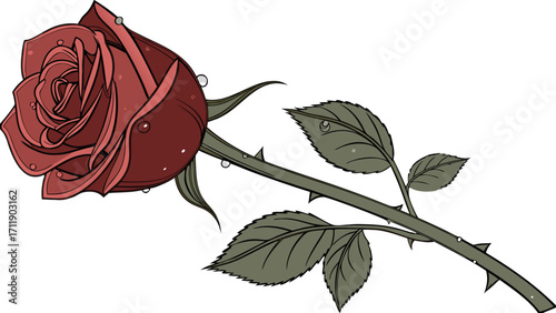 Single Red Rose with Dew Drops Vector Illustration Floral Design Element.