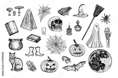 Skull, pumpkin, bat, spider, ghost, witch, mushroom drawings for party invitations, cards, posters, stickers designs. Halloween holiday sketch illustrations collection. Hand-drawn vector clipart