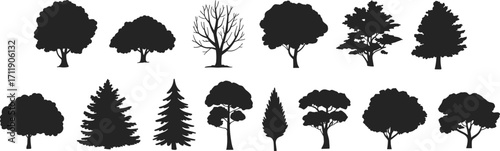 Tree silhouettes collection, vector forest icons, isolated deciduous and evergreen trees, botanical elements, outdoor landscape design, ecology, nature illustration set