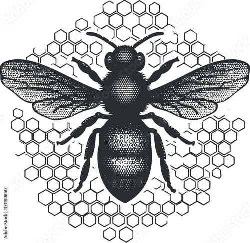 Illustration of a bee on a honeycomb background depicting nature and pollination themes.