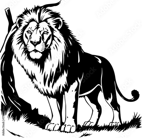Photography Lion illustration vector, wild animal drawing, big cat graphic, jungle predator