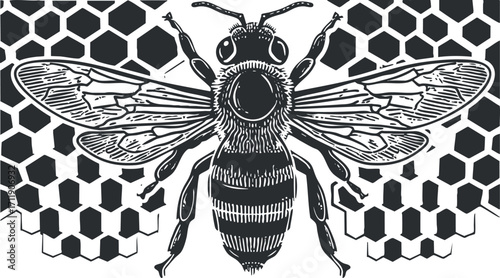 A detailed illustration of a bee with hexagonal honeycomb patterns in the background.