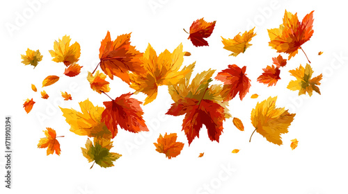 Vector illustration of falling autumn leaves isolated on a white background