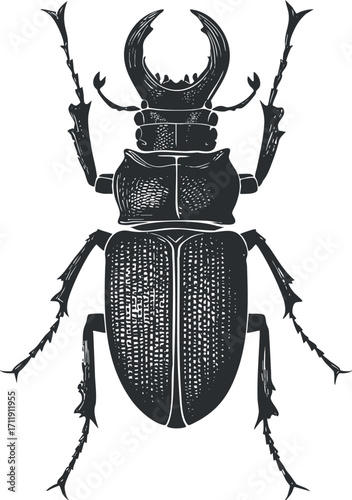 A detailed illustration of a black beetle showcasing its anatomical features and design.