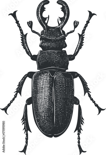 A detailed black and white illustration of a stag beetle showcasing its unique features and anatomy.