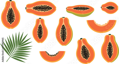 Papaya Fruit Slices and Whole Pieces with Tropical Leaf for Healthy Eating, Botanical Illustration, Exotic Food, and Nutrition Concepts