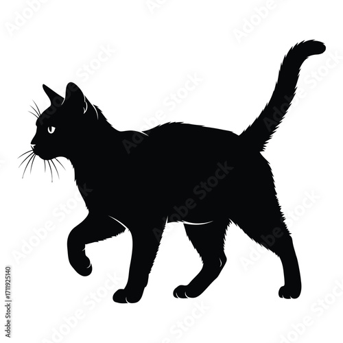 Silhouette of a black cat walking elegant tail up capturing graceful motion silhouette