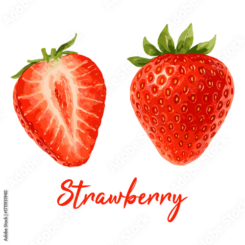 strawberry in watercolor illustration style, isolated vector on white background