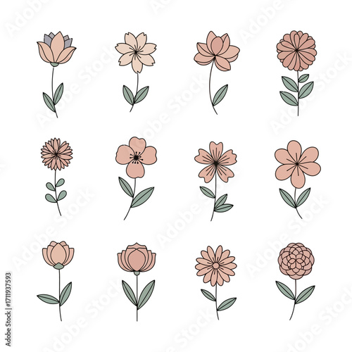 Collection of Delicate Hand-Drawn Flower Illustrations with Soft Pastel Colors.