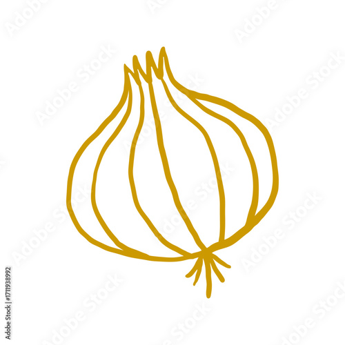 Line Drawing of Onion